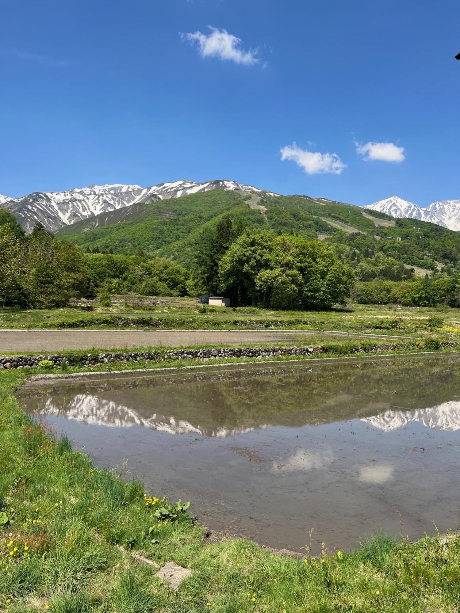 海蒂霍夫酒店 白马村 外观 照片